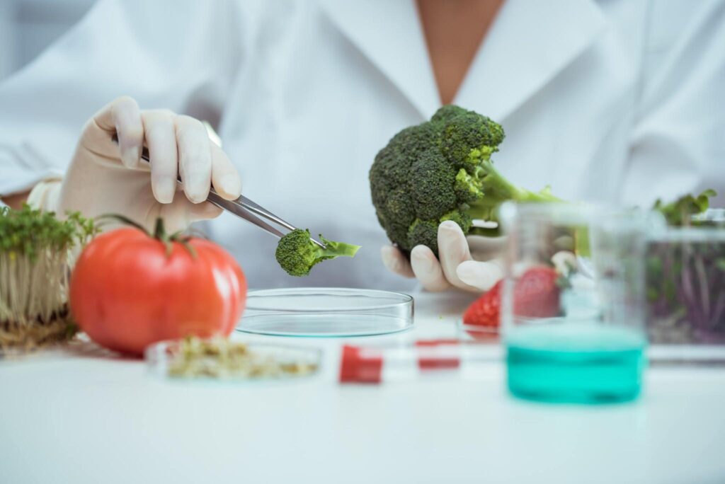 Food Science: Food Product Development