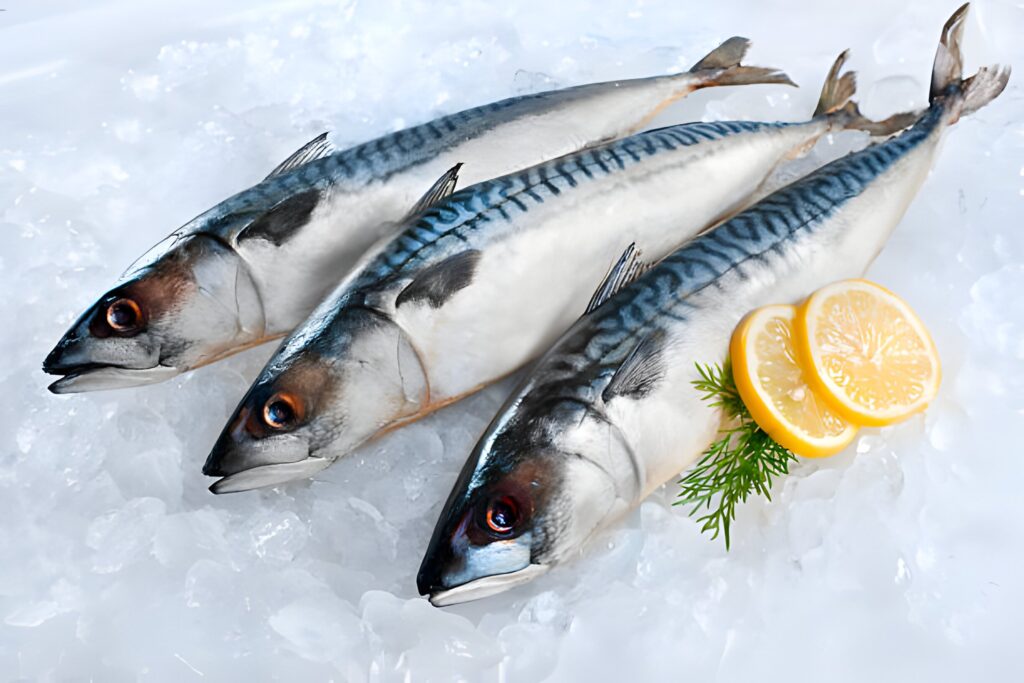 Mackerel