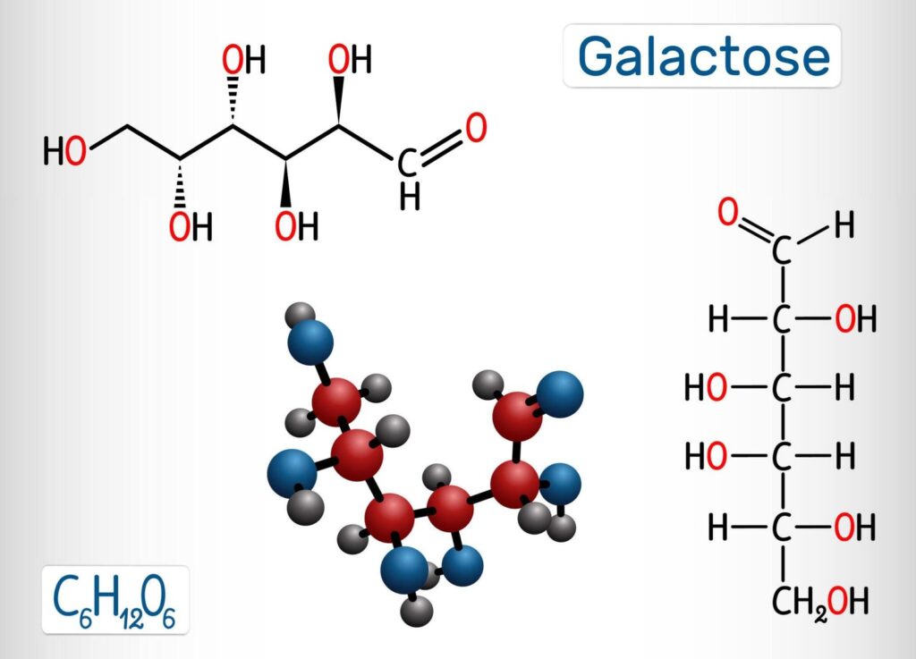 Milk Sugar: Galactose