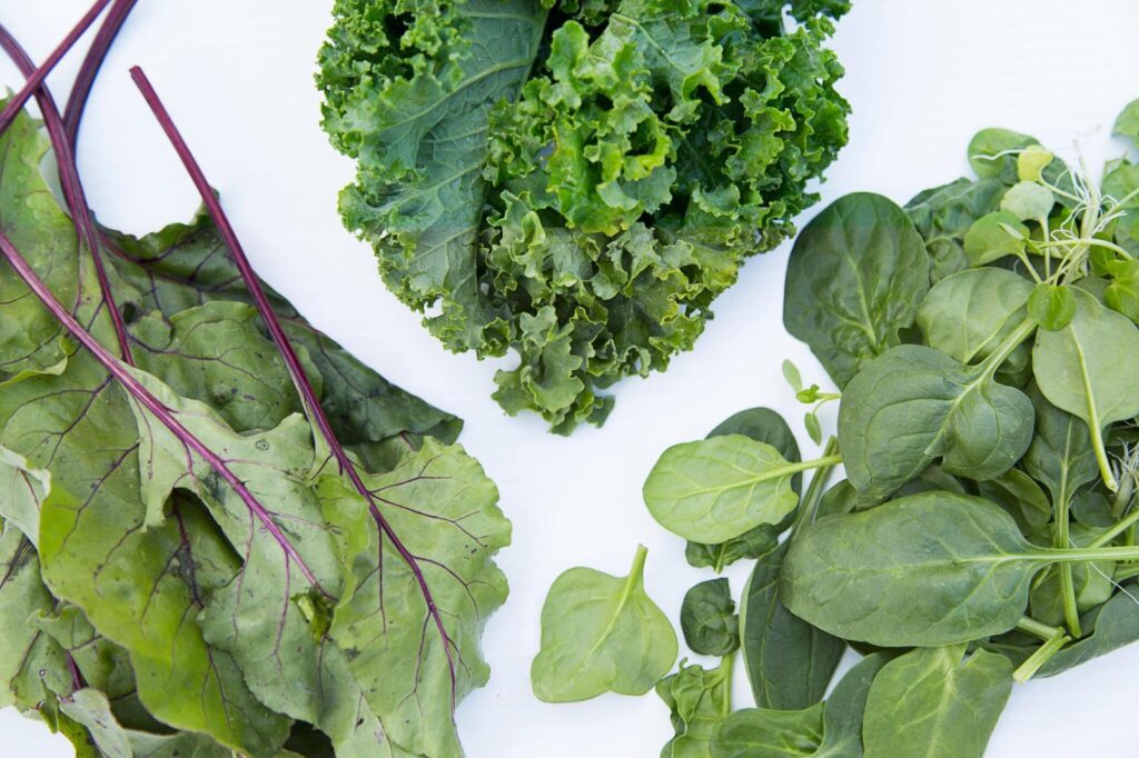 Plant Based Diet: Leafy Greens