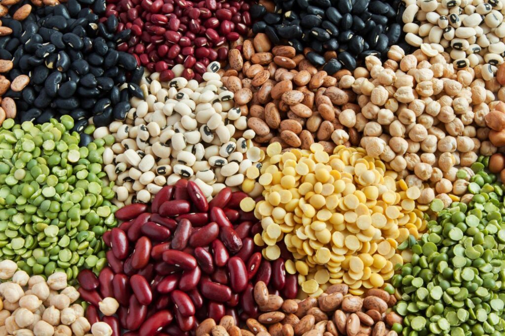 Plant Based Diet: Legumes