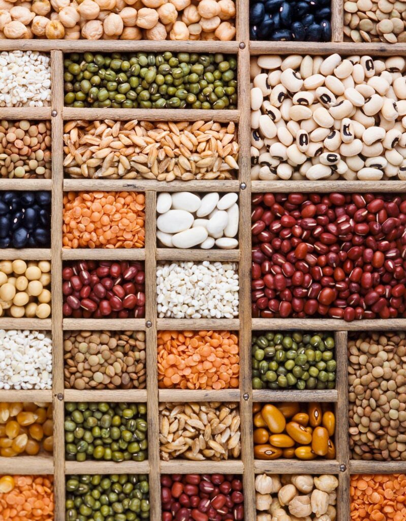 Introduction to Plant Based Proteins