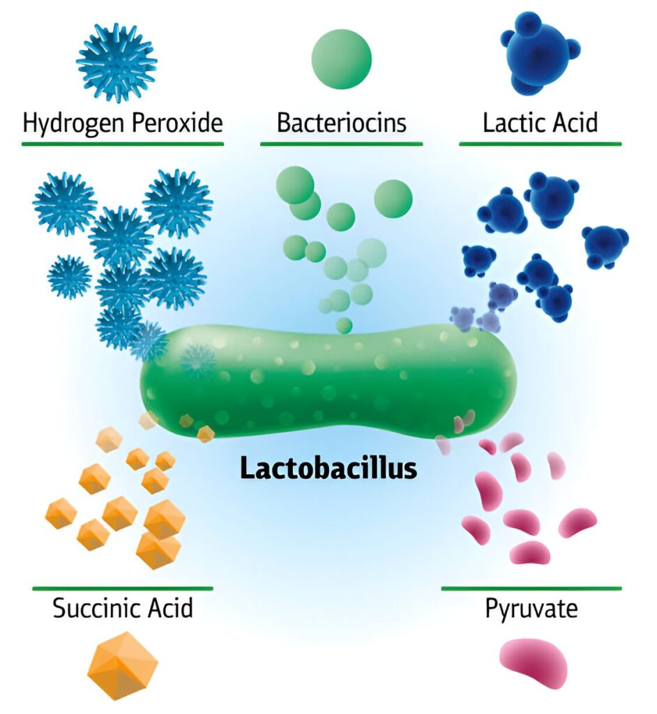 Food Preservatives: Bacteriocins