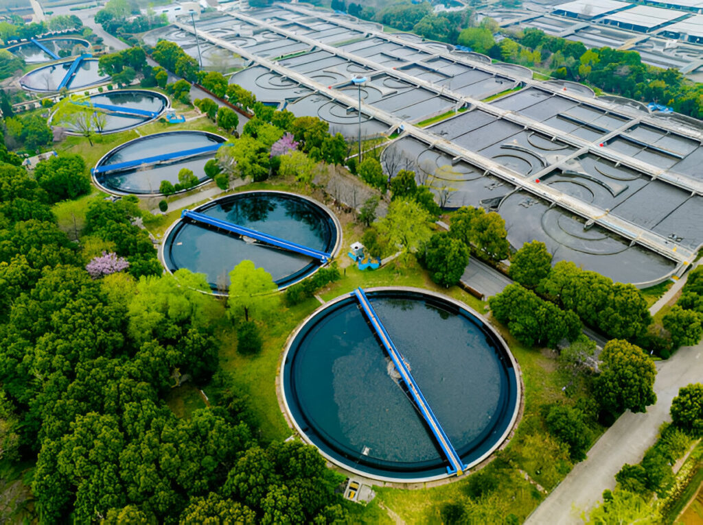 Bird Flu: Wastewater Treatment Plant