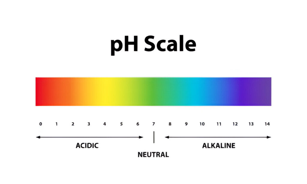 Food Processing: pH Scale