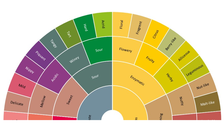 Sensory Analysis Wheel